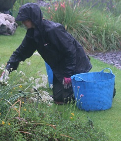 Growing Perennial Plants Online Course