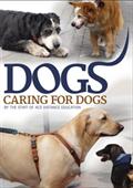 Caring for Dogs