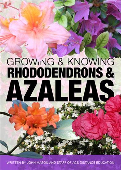 Growing Rhododendrons