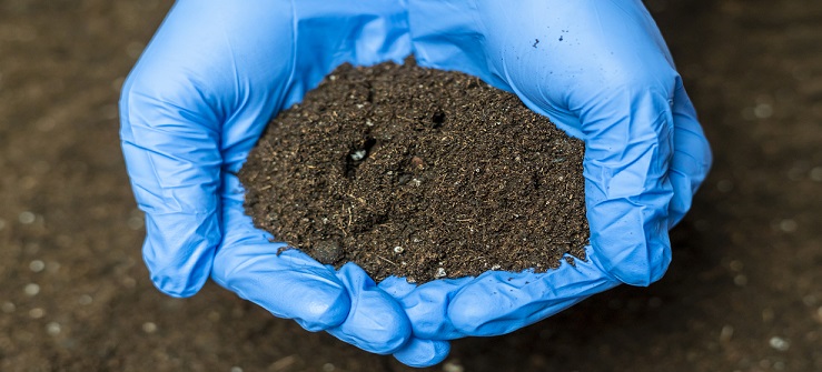 Soils and Microplastics ... 