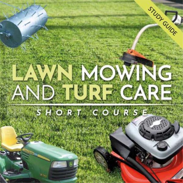 Start Lawn Care Business