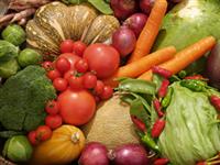 Food Self Sufficiency Courses | Study Food Production Online